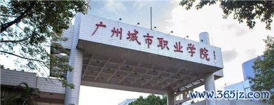高端模特小姐的魅力与特点